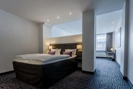 ProfilHotels Mercur - 74