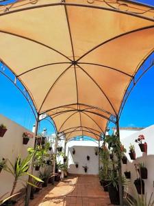 Un Patio al Sur - 64