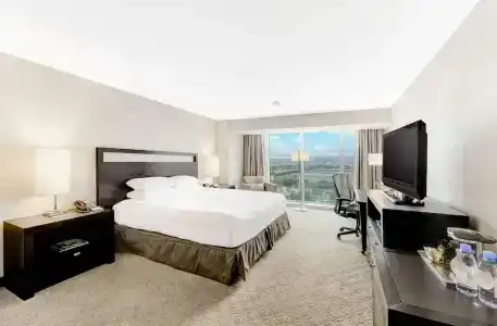 Hilton Anaheim - 85