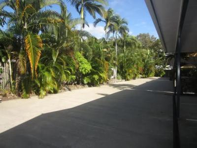 Lazy Lizard Motor Inn - 9
