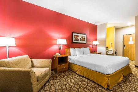 Quality Inn & Suites Chesterfield Village - 25