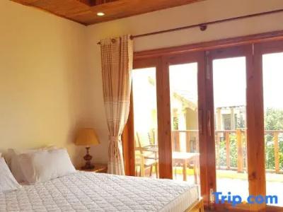 Free Beach Resort - 54