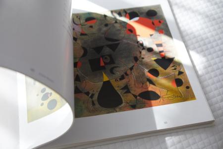 Joan Miró Museum - 44