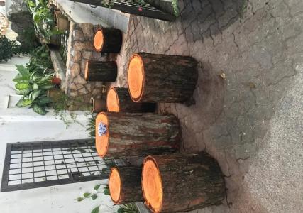 Lai Ming Cosmoland (SG Clean, Staycation Approved) - 13