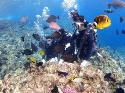 Ocean Resort Pmc - 36