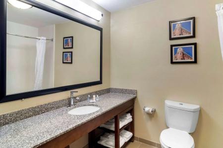 Comfort Inn & Suites North I-75 - 8