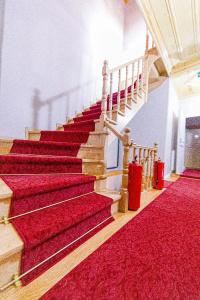 Acacia Mansion - 15