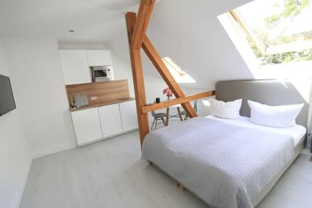 Zollikof Aparts - Sauna & Studio - 52