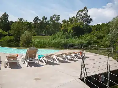 Les Restanques du golfe de St Tropez - 15
