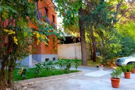 Bliss - 7