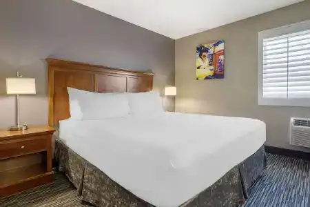 Best Western Mccarran Inn - 46
