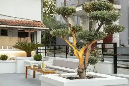 Bemyguest Plus Villa Chrisanthi - 14
