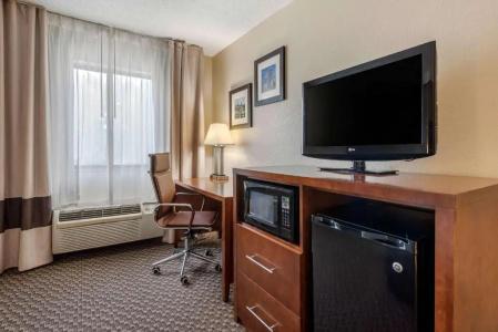 Comfort Inn South - 29