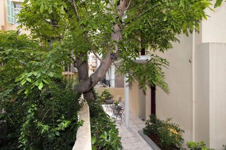 Gatto Perso Luxury Studio - 14