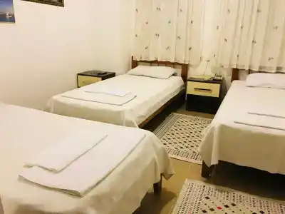 Cam - 3