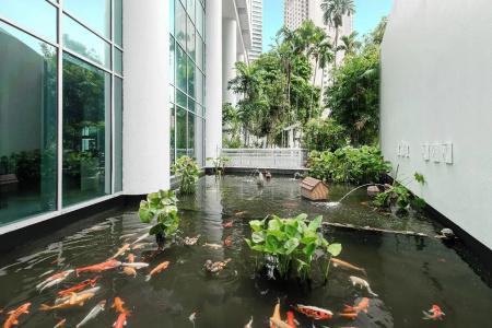Ascott - 19