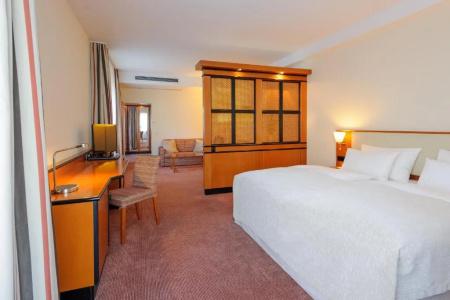 Mercure Düsseldorf City Center - 77