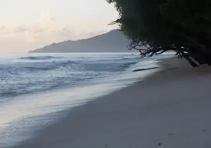 Villa Koket - 13