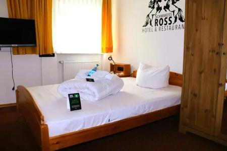 Schwarzes Ross & Restaurant Oberwiesenthal - 38