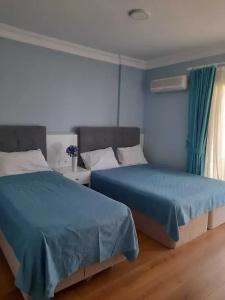 Boutique Marquis Blue - 40