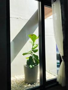 Little One - 6