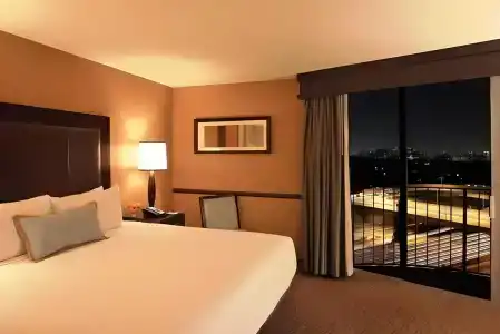 Angeleno - 29