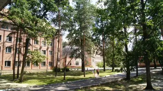 Золотые пески - 4