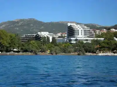 Dr Simo Milosevic - 12