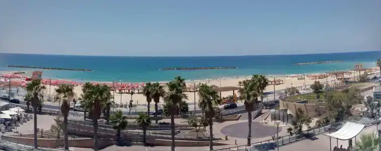 Olive Tlv 88 Sea - 12