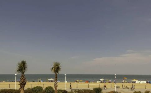 Sheraton Oceanfront - 19