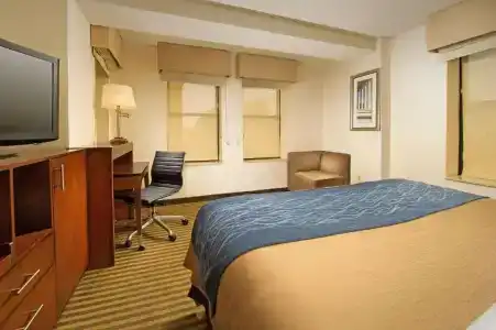 Comfort Inn Downtown DC/Convention Center - 25