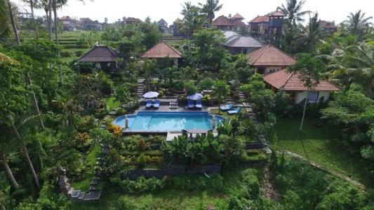 Capung Mas - 58