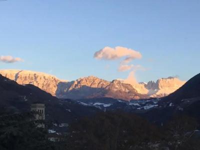 Adria - 84