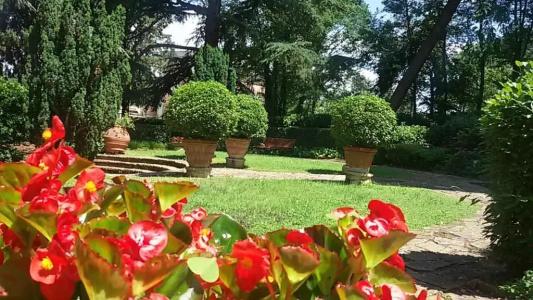 Park Palace - 12