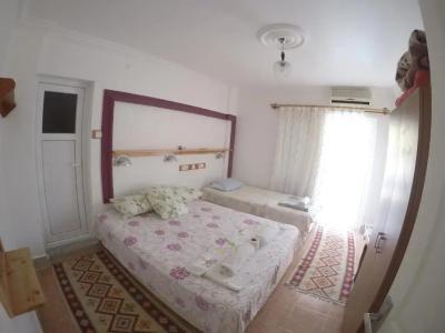 Rose Pension - 37