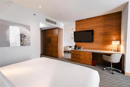 Doubletree By Hilton Mexico City Santa Fe - 41