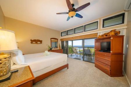 Kapalua Villas Maui - 317