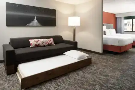 SpringHill Suites by Marriott Dallas Downtown / West End - 42