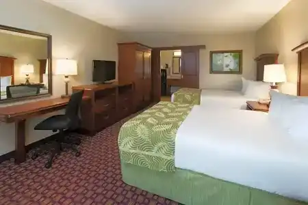 Rosen Inn at Pointe Orlando - 59