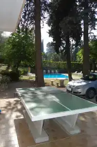 Stella Alpina - 12