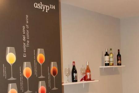 Aslyp 114 - 13