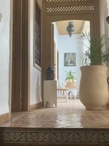 Riad Les Orangers D'alilia - 31
