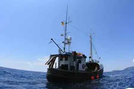 Boat Ms Cutty Jean - 5