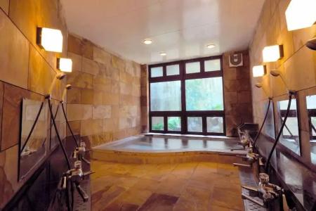 Hakuba Onsen Ryokan Shirouma-so - 14