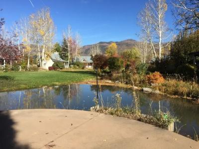 Apple Orchard Inn & Cottages - 51