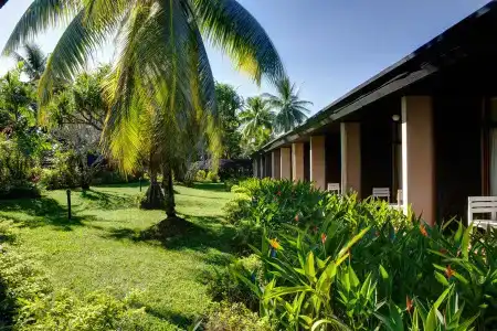 Tanoa International - 18