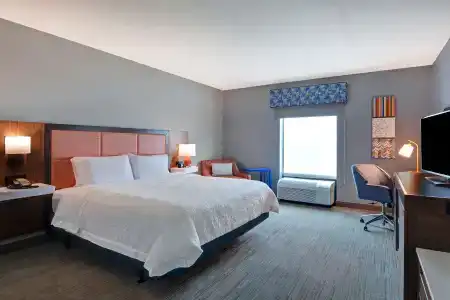 Hampton Inn & Suites/St. Petersburg-Ulmerton Road - 3