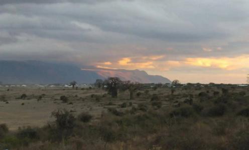 Manyara Wildlife Safari Camp - 10