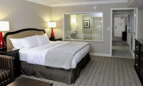 Hilton/ Fallsview and Suites - 43