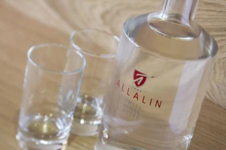 Swiss Alpine Allalin - 45